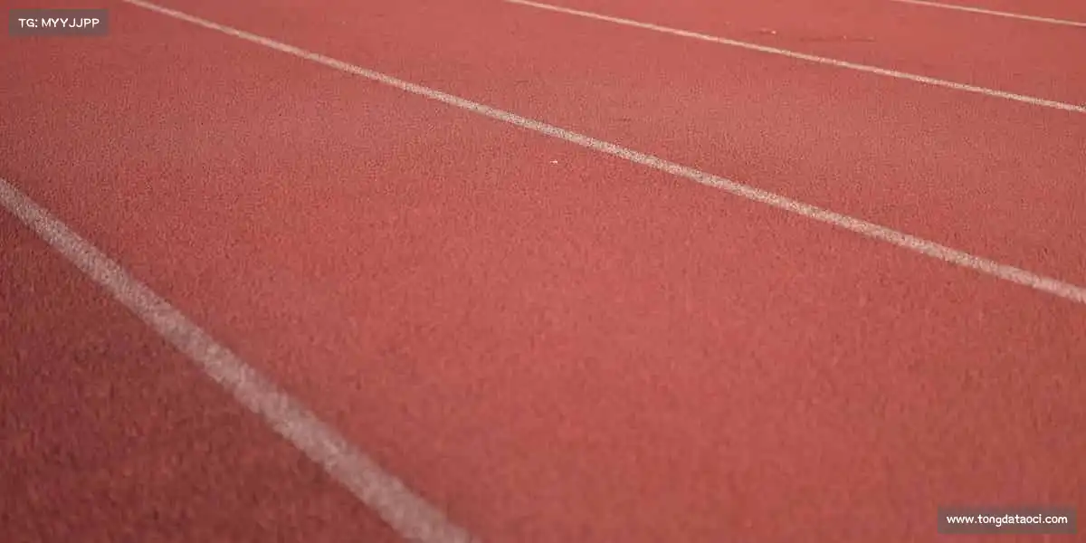 <strong>泛亚电竞</strong>从这里开始，让健康成为生活标配！🏋️‍♂️🌿